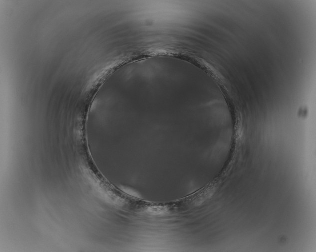 X0000112160353200908281409