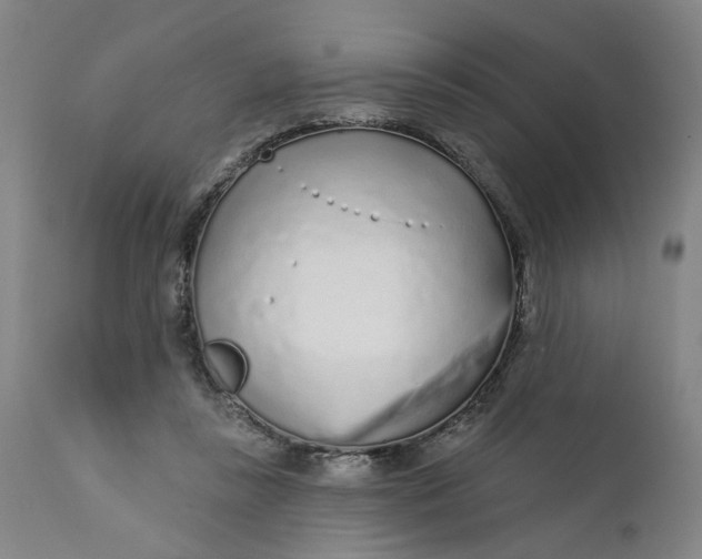 X0000112160355200908281409