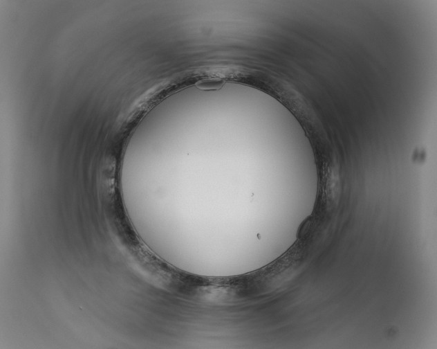 X0000112160356200908281409