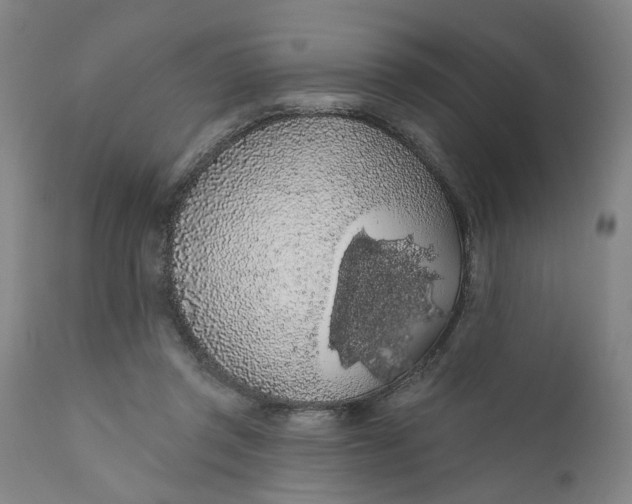 X0000112160357200908281409