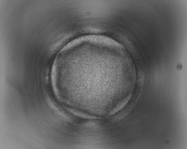 X0000112160358200908281409