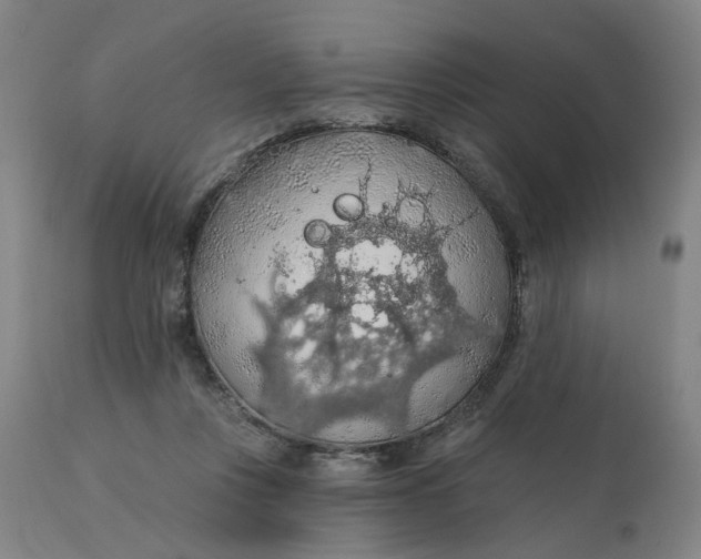 X0000112160359200908281409