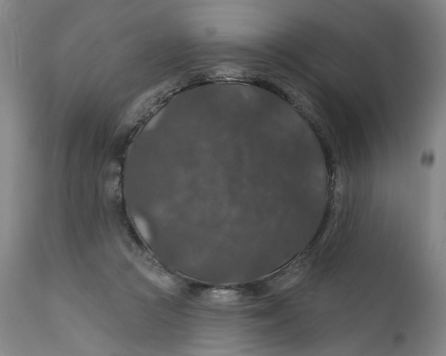 X0000112160361200908281409