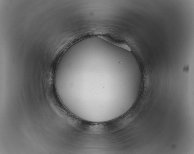 X0000112160362200908281409
