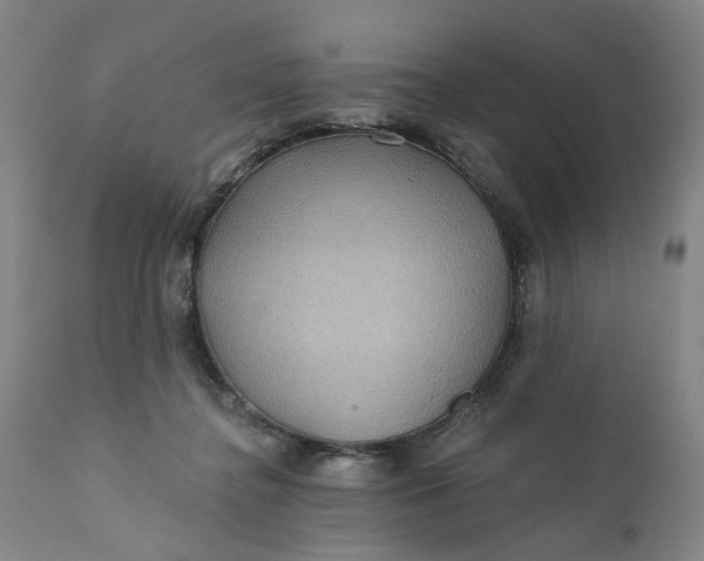 X0000112160364200908281409