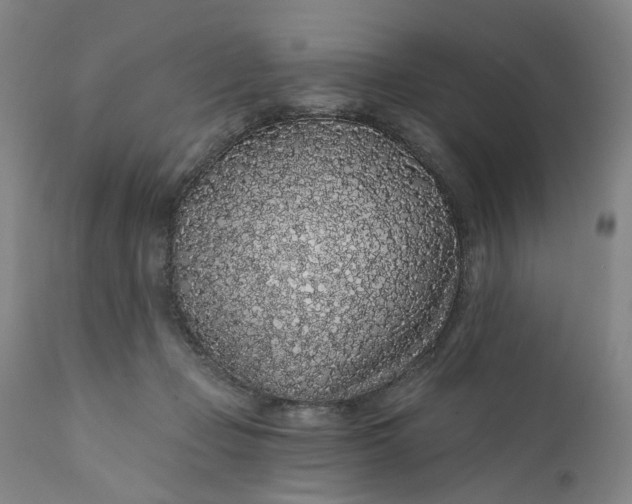 X0000112160365200908281409