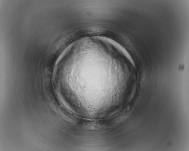 X0000112160366200908281409