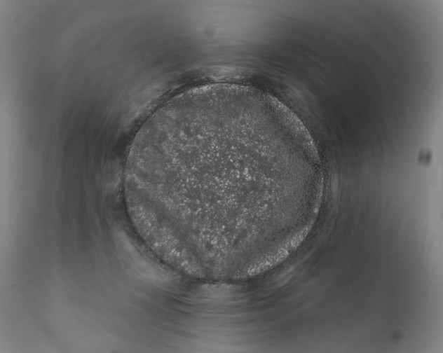 X0000112160367200908281409