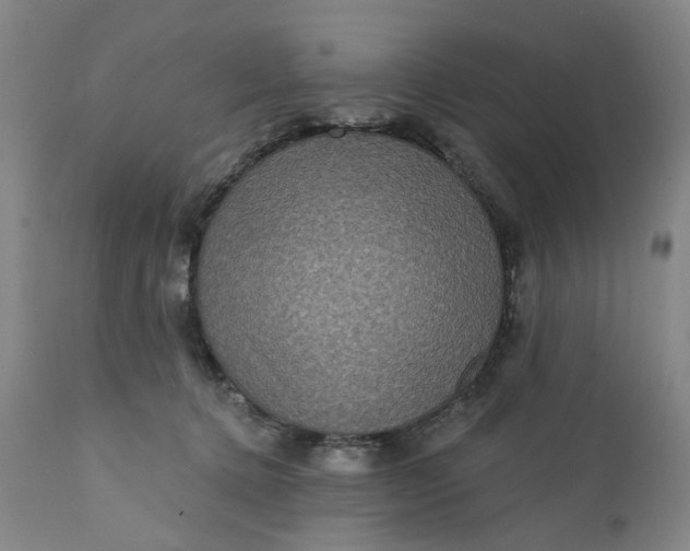 X0000112160368200908281410