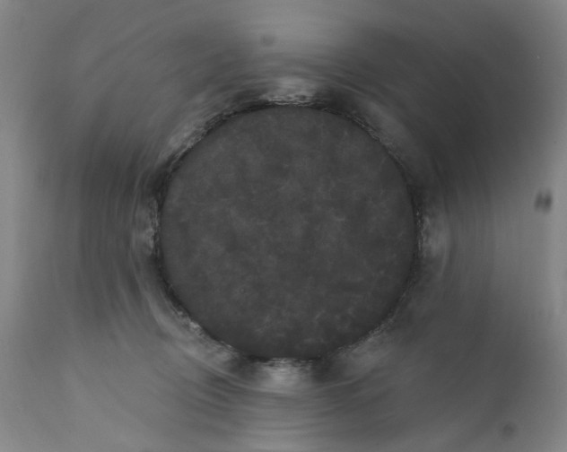 X0000112160370200908281410