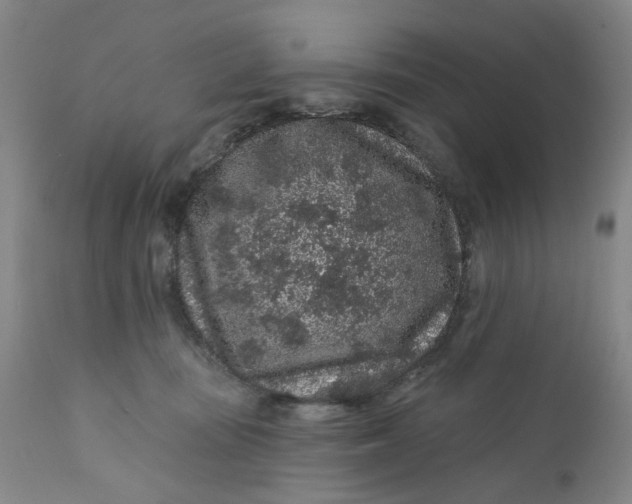 X0000112160371200908281410