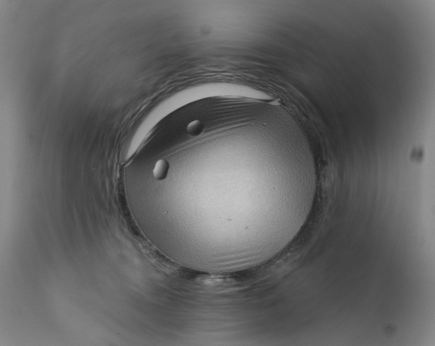 X0000112160372200908281410