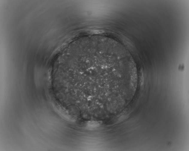 X0000112160373200908281410