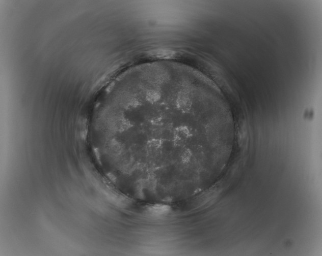 X0000112160374200908281410