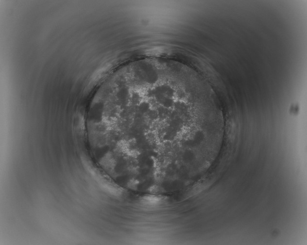 X0000112160375200908281410
