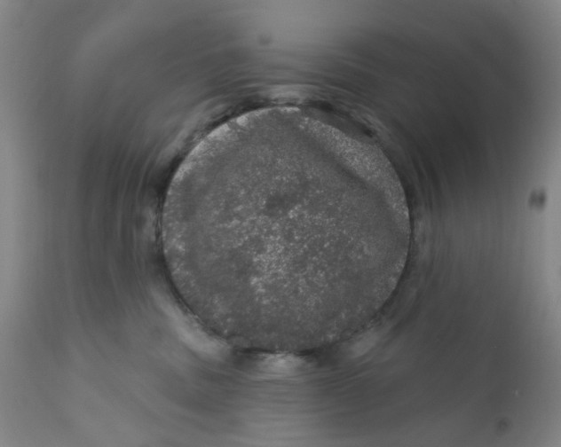 X0000112160379200908281410