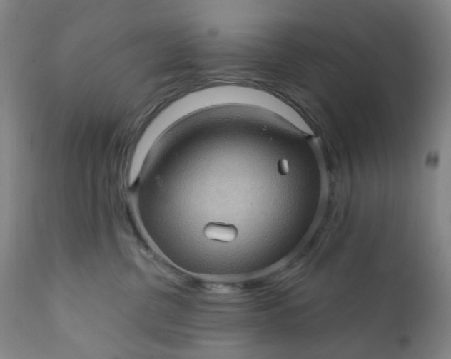 X0000112160380200908281410