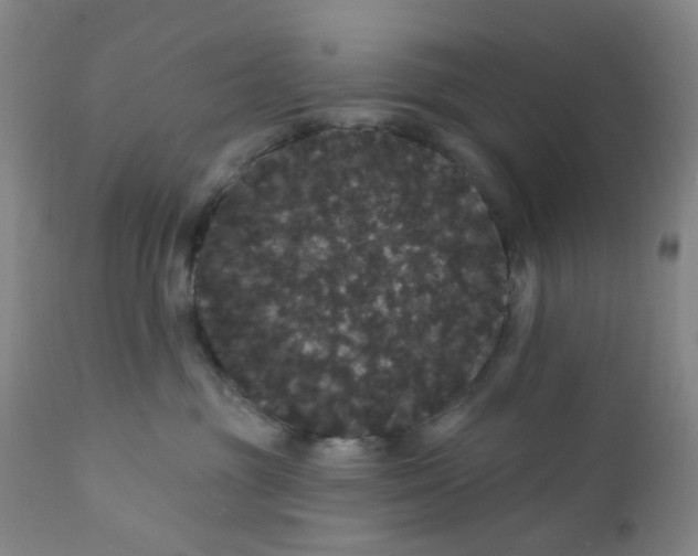 X0000112160381200908281410