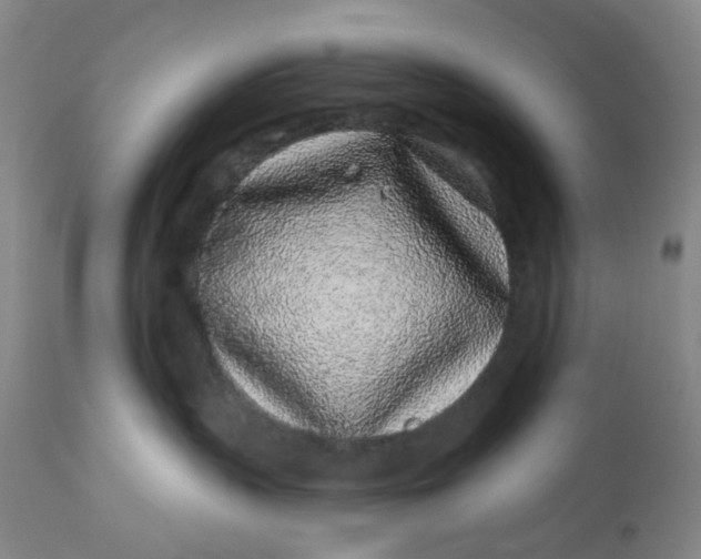 X0000112160383200908281410