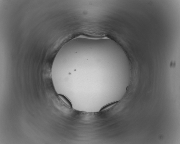 X0000112160384200908281410