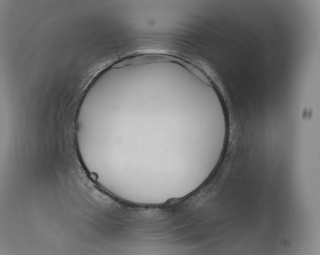 X0000112160385200908281409