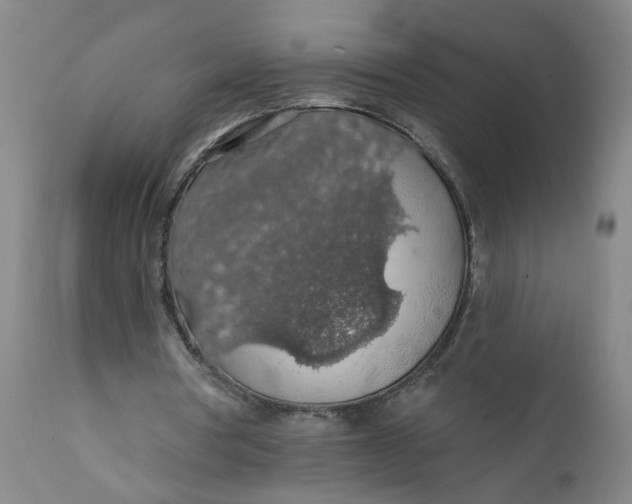 X0000112160386200908281409