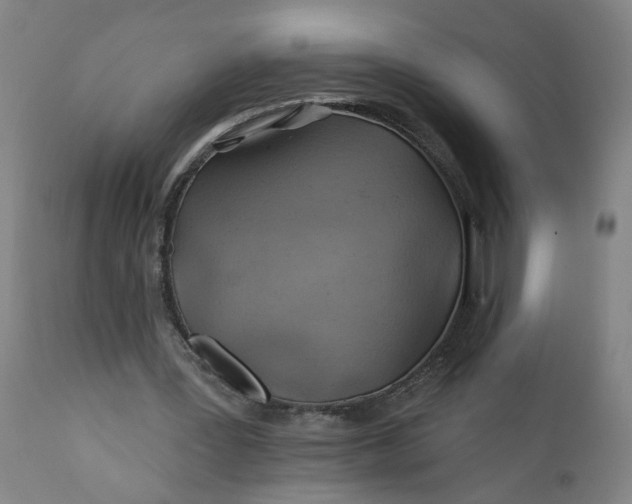 X0000112160387200908281409