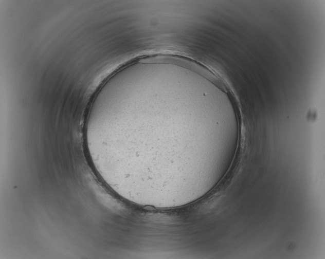 X0000112160389200908281409