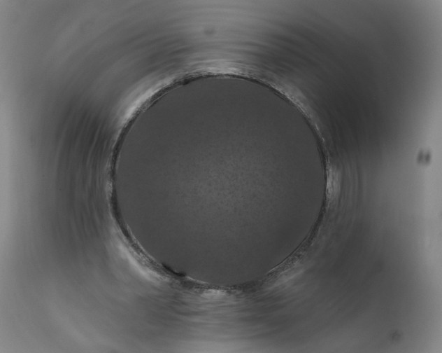 X0000112160390200908281409