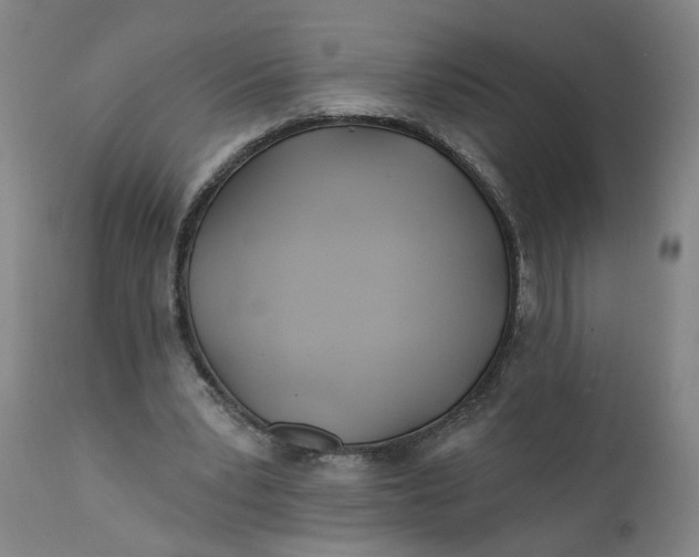 X0000112160391200908281409