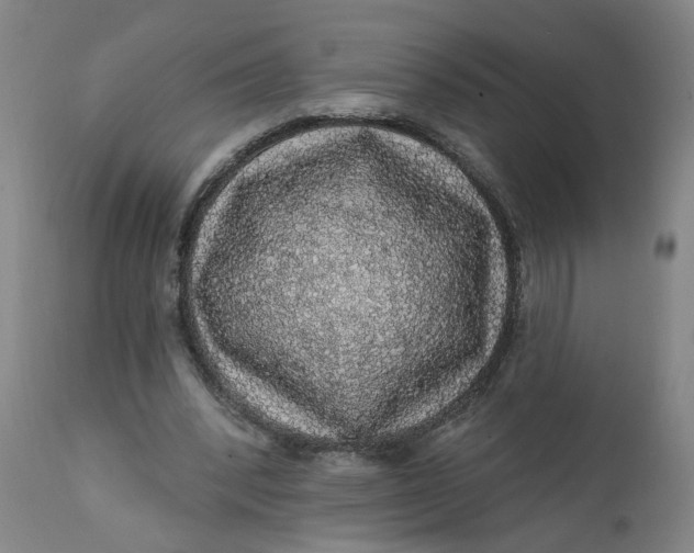 X0000112160392200908281409