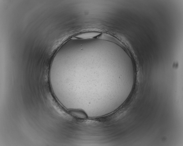 X0000112160393200908281409