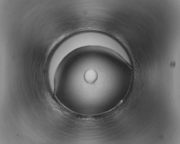 X0000112160395200908281409