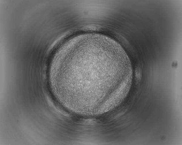 X0000112160396200908281409