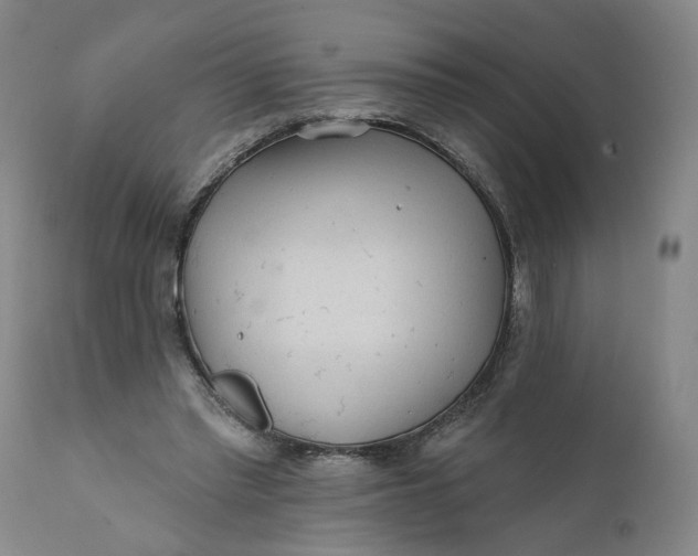 X0000112160397200908281409