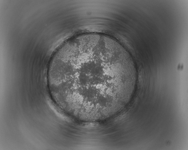 X0000112160398200908281409