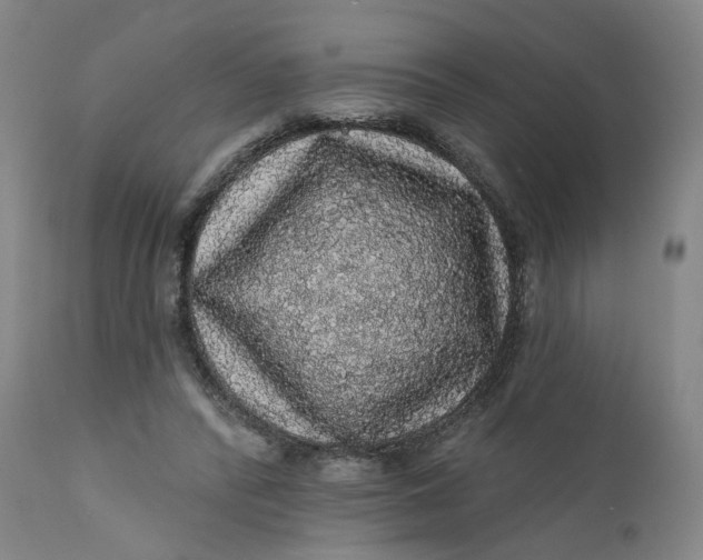 X0000112160400200908281409