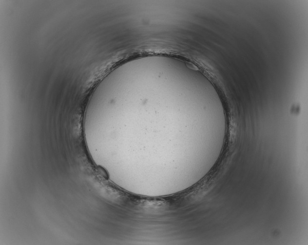 X0000112160401200908281409