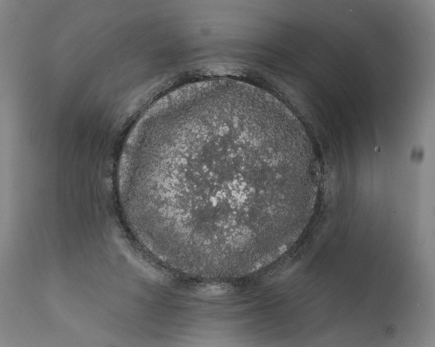 X0000112160402200908281409