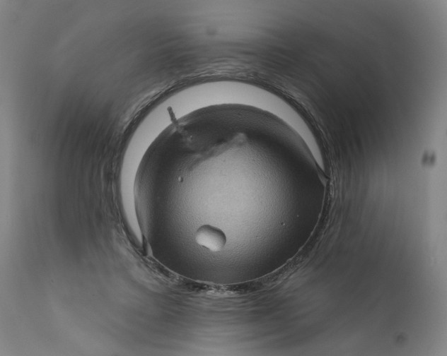 X0000112160403200908281409