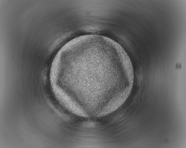 X0000112160404200908281409