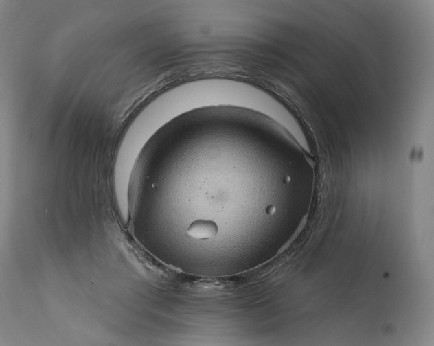 X0000112160405200908281409