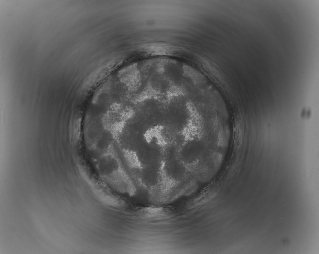 X0000112160406200908281409