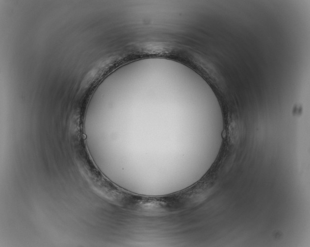 X0000112160407200908281409