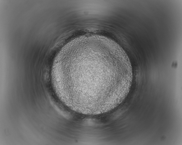 X0000112160408200908281409