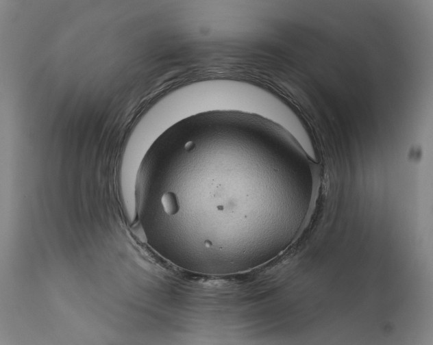 X0000112160409200908281409