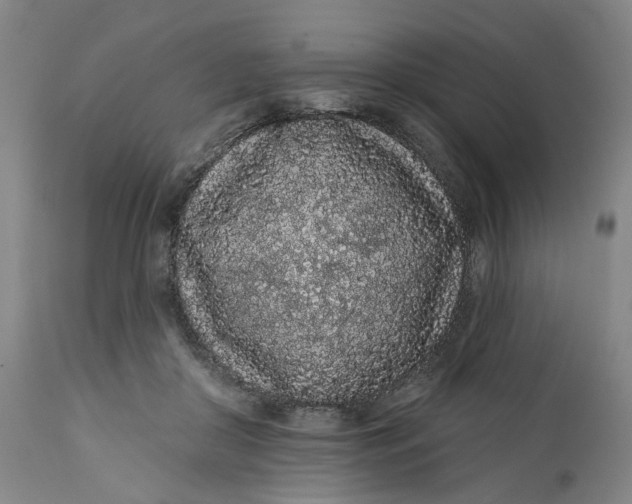 X0000112160410200908281408