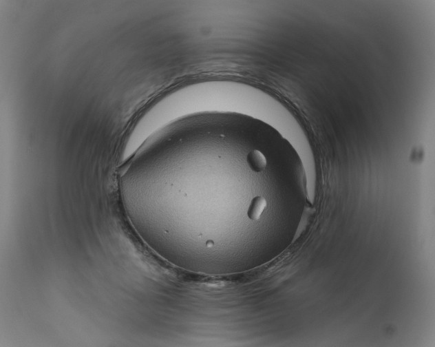 X0000112160411200908281408