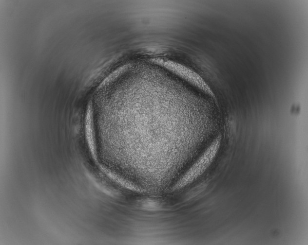 X0000112160412200908281408