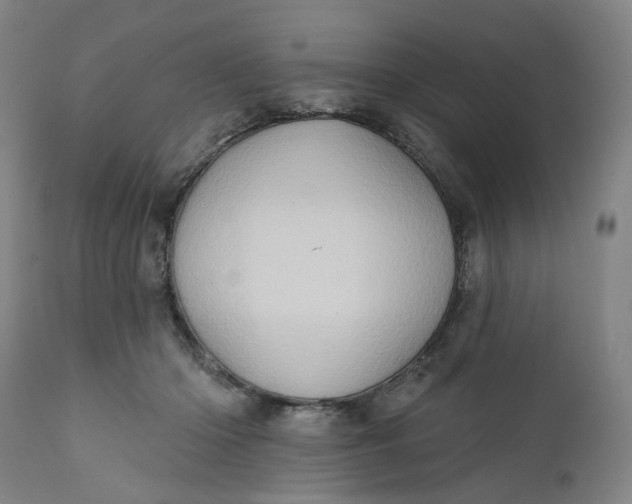 X0000112160414200908281408